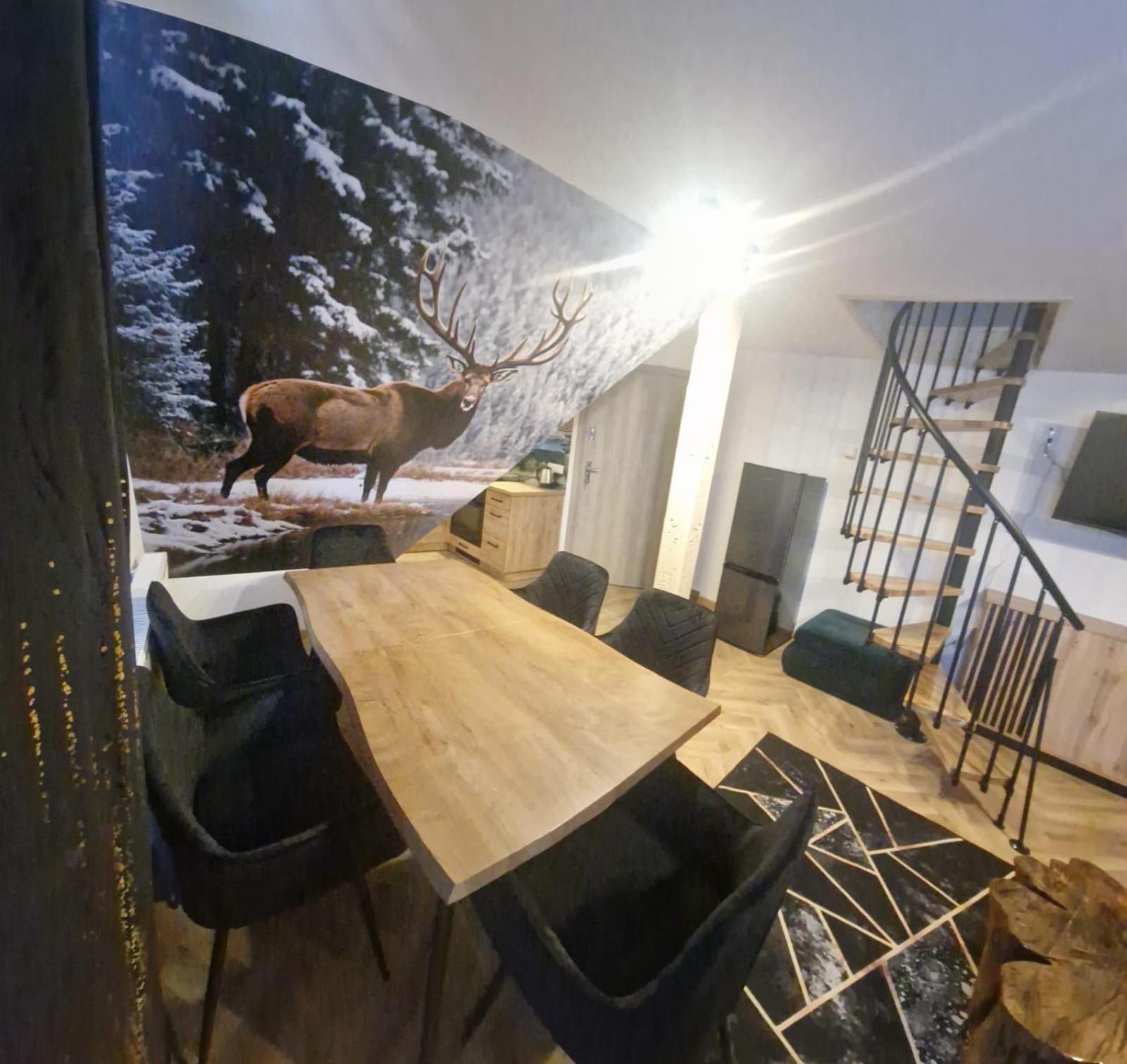 Studia I Apartamenty Wierchy Zakopane Esterno foto